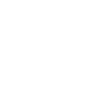 FA Cup football logo