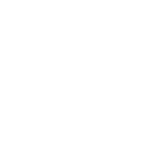 PDC darts logo