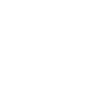 Premier League football logo